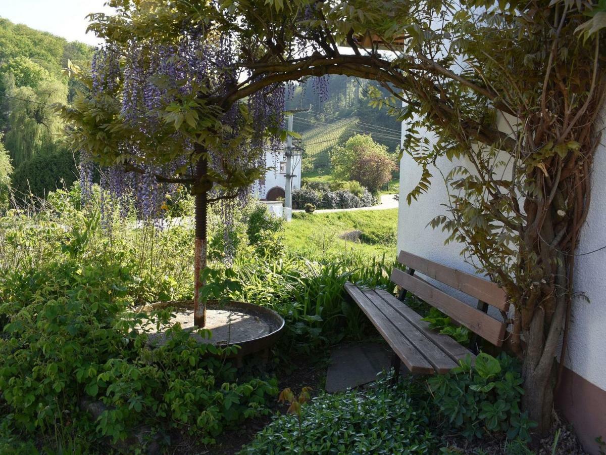 Ferienwohnung Wiedergruen ดัวร์บาค ภายนอก รูปภาพ